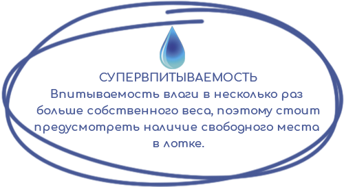 Супервпитываемость